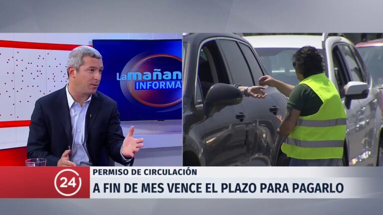 Protege tu auto con seguros obligatorios