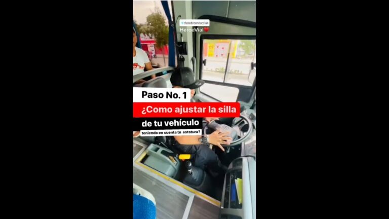 Opciones de Ayuda para Conductores con Discapacidades F&iacute;sicas