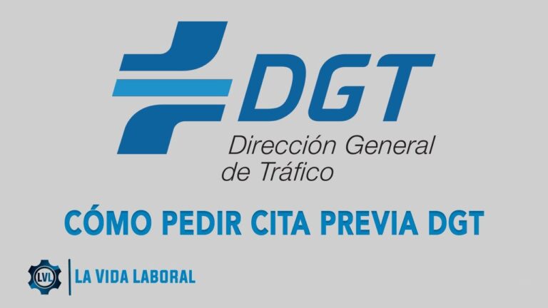 Gu&iacute;a para la Solicitud de Duplicado de Carnet de Conducir en Cita DGT