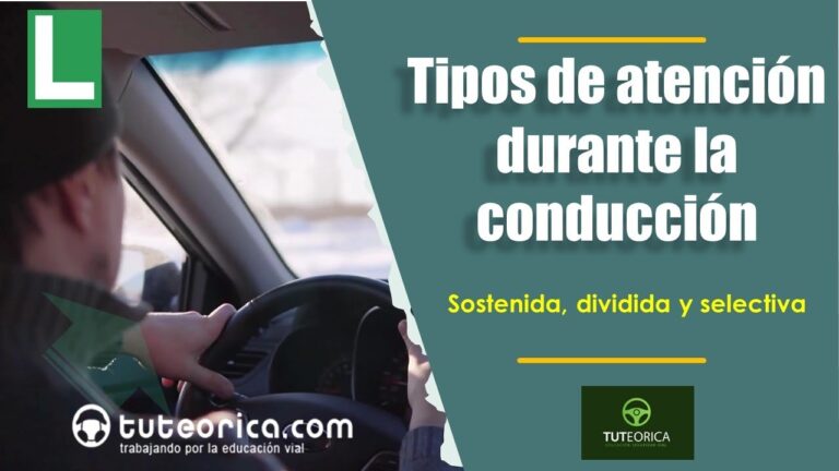 T&eacute;cnicas Efectivas para Mejorar la Atenci&oacute;n en Ex&aacute;menes Te&oacute;ricos