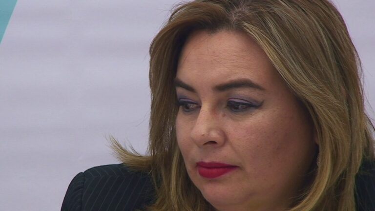 Derechos Fundamentales en el Transporte P&uacute;blico: Garant&iacute;as y Desaf&iacute;os