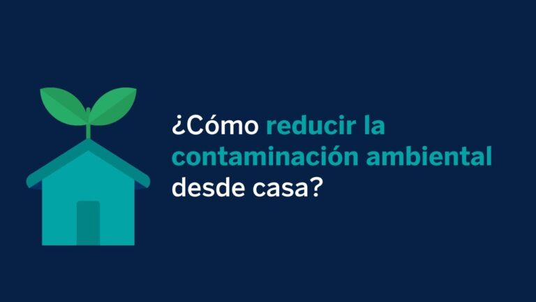 Alternativas Efectivas para Reducir la Contaminaci&oacute;n en Ciudades
