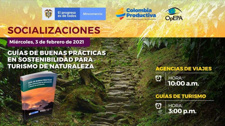 Armon&iacute;a con la Naturaleza: Conducci&oacute;n Sostenible como Estilo de Vida