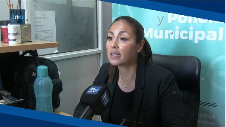 Gu&iacute;a para Obtener el Carnet de Conducir en Curso Obligatorio