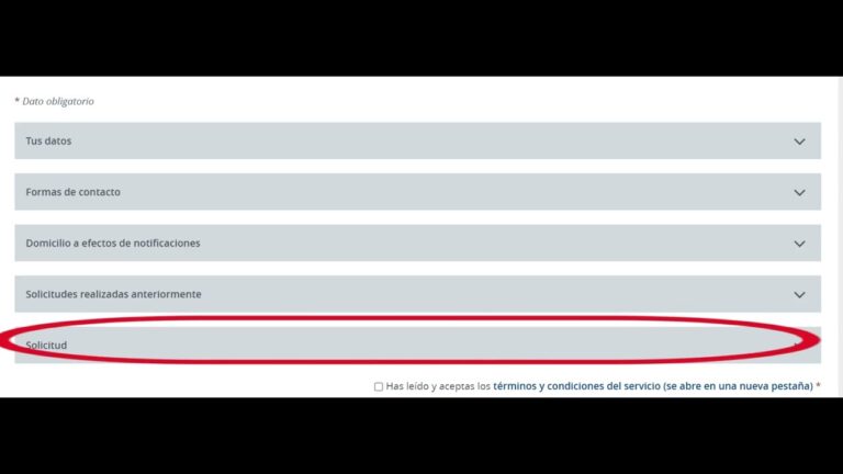 Gu&iacute;a para la Solicitud de Permisos Especiales de Conducci&oacute;n