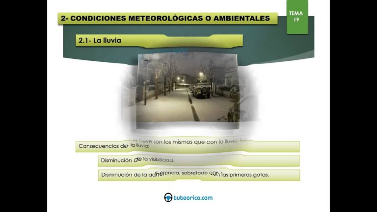 Manejo Seguro en Situaciones de Riesgo al Conducir