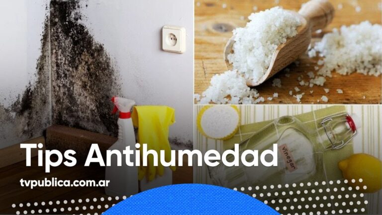 Impacto de la Humedad en la Conducci&oacute;n