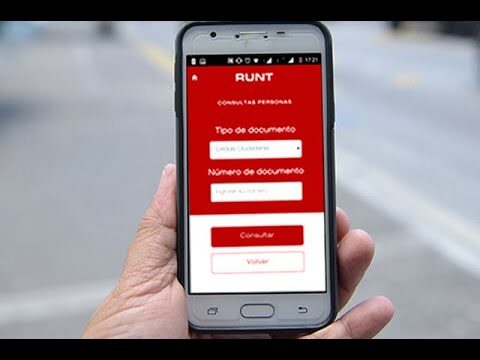 Documentaci&oacute;n Legal Esencial para Conductores y sus Autos