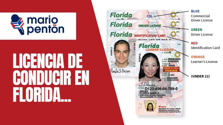 Requisitos para Obtener el Carnet de Conducir: Pasaporte en Regla