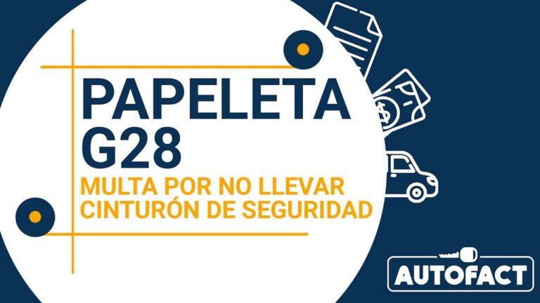 Consecuencias Legales de No Usar Cintur&oacute;n de Seguridad