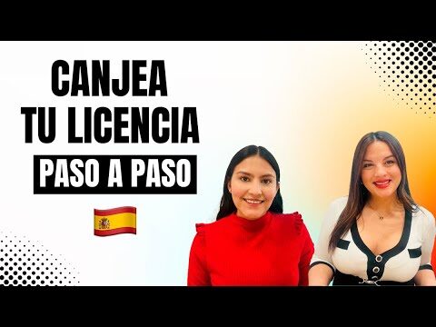 Gu&iacute;a para el tr&aacute;mite del carnet de conducir con documentaci&oacute;n laboral