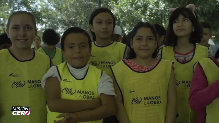 Protecci&oacute;n Infantil en Entornos Viales Escolares