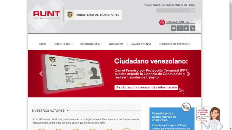 Costos del Carnet de Conducir Temporal: Gu&iacute;a Completa