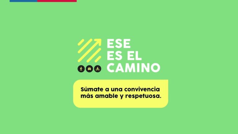 Importancia del Respeto Mutuo en la V&iacute;a y L&iacute;mites de Velocidad