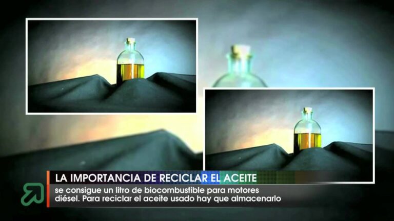 Impacto Ambiental del Reciclaje de Aceites