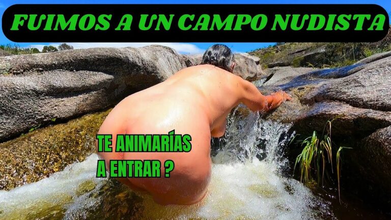 Pr&aacute;cticas Ecol&oacute;gicas en el Carpooling Sostenible