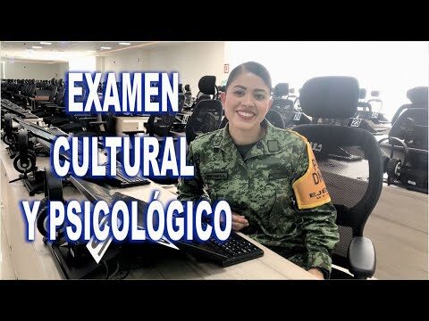 Desafíos del Examen Teórico en la Autoevaluación