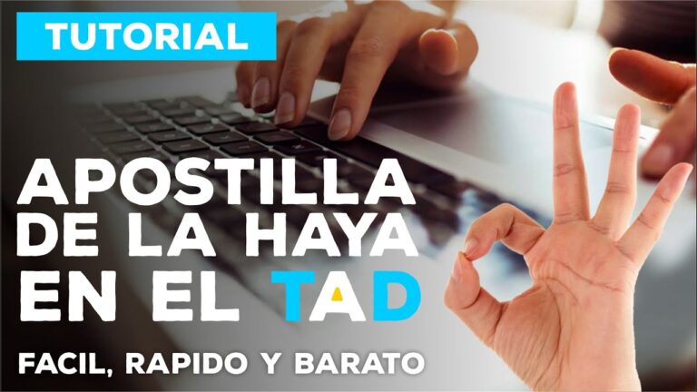 Conducir en el Extranjero: Consejos para Titulares de Carnet Espa&ntilde;ol