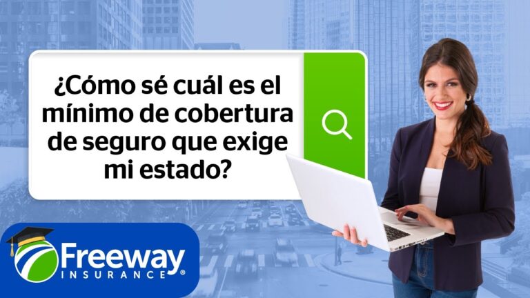 Tipos de Cobertura M&iacute;nima en Seguros para Conductores