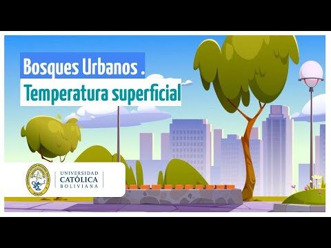 Regulaciones Efectivas para Mejorar la Calidad del Aire en Ciudades
