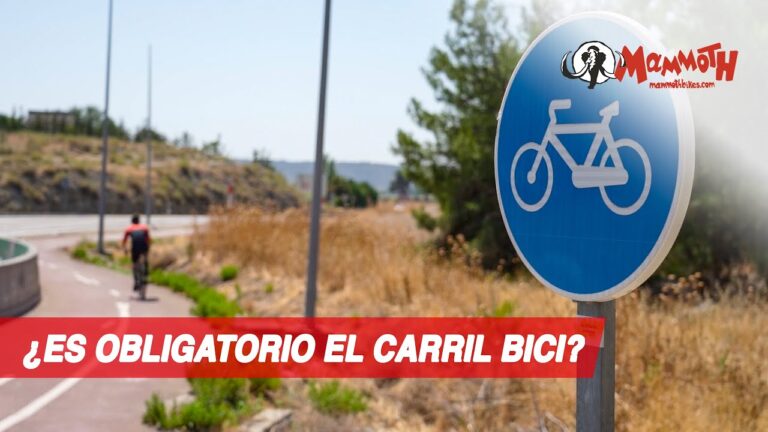Normativa de Se&ntilde;alizaci&oacute;n en Carriles Bici