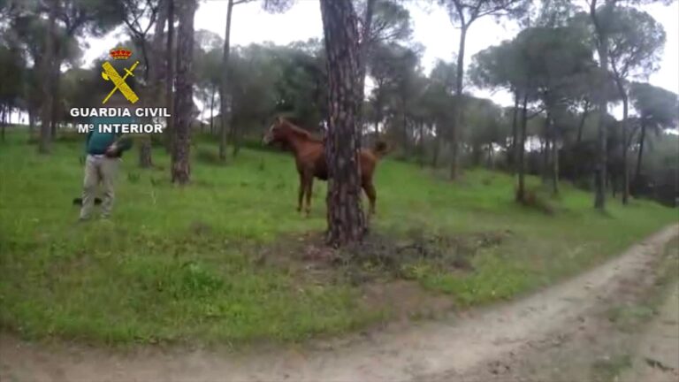 Consecuencias del Incumplimiento de las Restricciones de Circulaci&oacute;n