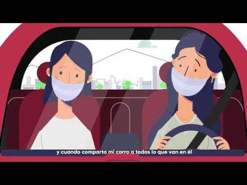 Seguridad Vial: Protecci&oacute;n Integral para Pasajeros y Conductores