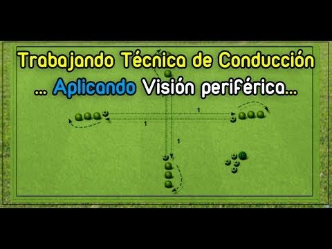Mejorando la Concentraci&oacute;n en la Conducci&oacute;n con Visi&oacute;n Perif&eacute;rica
