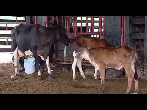 Estrategias Efectivas para la Adaptaci&oacute;n al Calor al Manejar