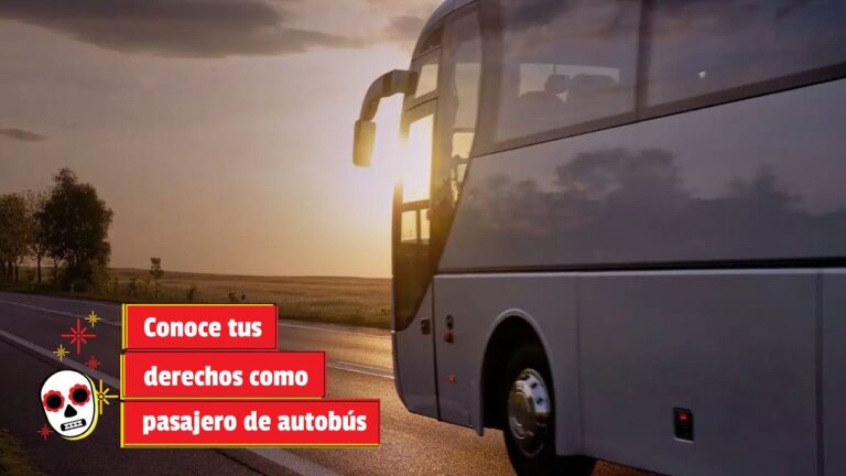 Conductores y Pasajeros: Conoce Tus Derechos