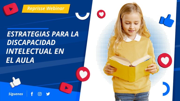 Asientos Personalizados para Necesidades Individuales