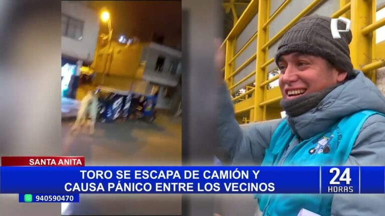 Resguardando la Integridad de los Heridos