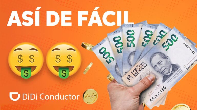 C&oacute;mo elegir una escuela de conducci&oacute;n accesible: recomendaciones clave