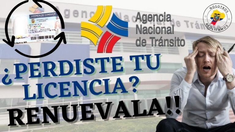 Gu&iacute;a para Renovar el Carnet de Conducir Extraviado
