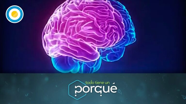 Beneficios de las Zonas de Baja Emisi&oacute;n para una Movilidad Saludable