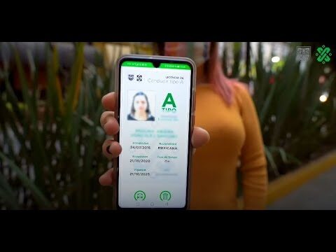 Renovaci&oacute;n Digital Eficaz del Carnet de Conducir