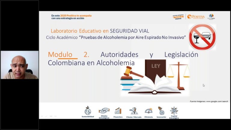 La Crucial Importancia de la Alcoholimetr&iacute;a en la Seguridad Vial