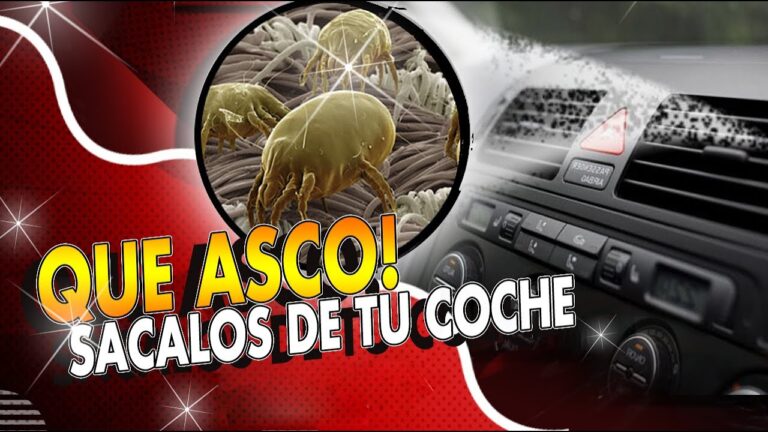 La importancia del mantenimiento del aire acondicionado en el coche