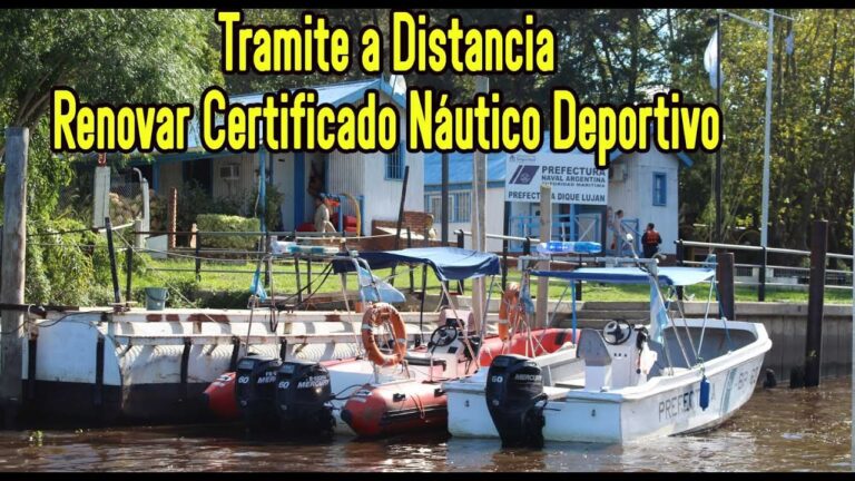 Renovaci&oacute;n a Distancia del Carnet de Conducir: Proceso Sencillo