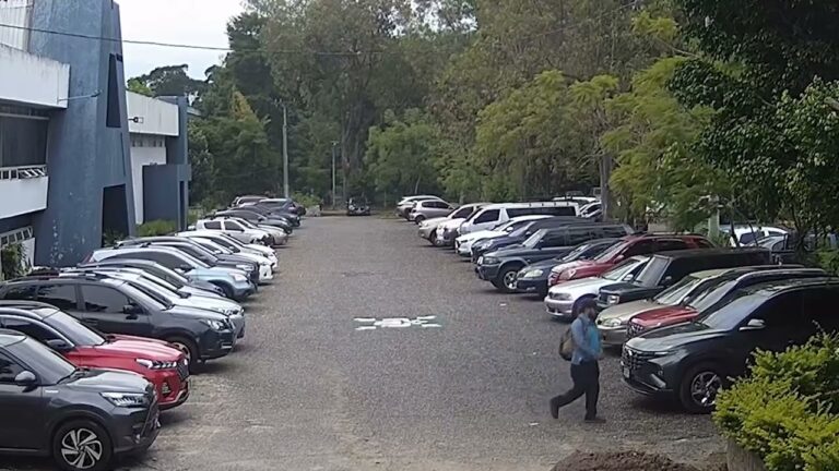 Gu&iacute;a para un Estacionamiento Seguro y Respetuoso