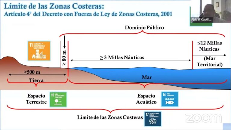 Impacto Ambiental de las Zonas de Baja Emisi&oacute;n