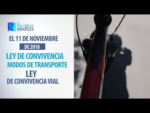 Consecuencias de Ignorar la Distancia de Seguridad en Autovías