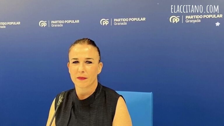 Optimización de la Gestión de Aparcamiento en Zonas de Alta Afluencia