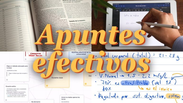 C&oacute;mo Lograr una Preparaci&oacute;n Efectiva con los Apuntes del Curso