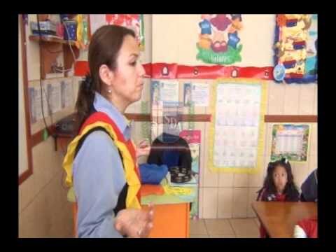 Desarrollo de Habilidades Viales en Escuelas Especializadas