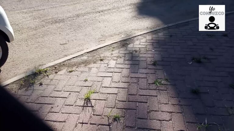 Errores Comunes en la Maniobra de Marcha Atr&aacute;s