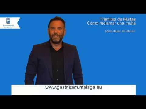 Estrategias Efectivas para la Apelaci&oacute;n de Sanciones de Tr&aacute;fico