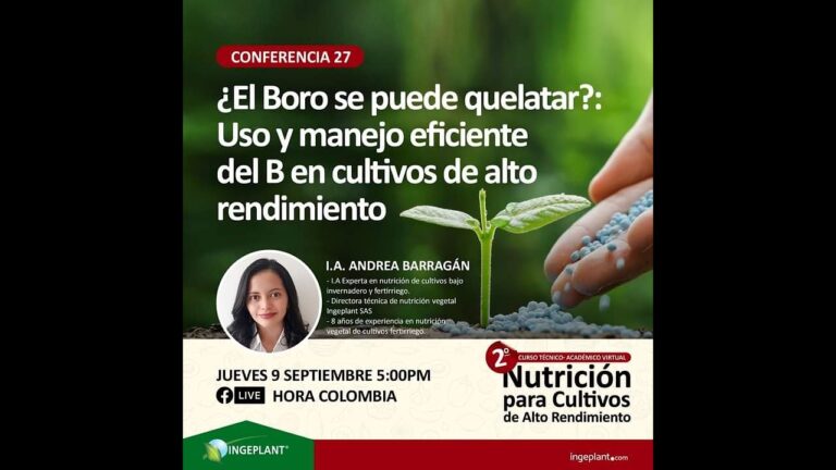 Conducir de Forma Ecol&oacute;gica: Beneficios y Recompensas