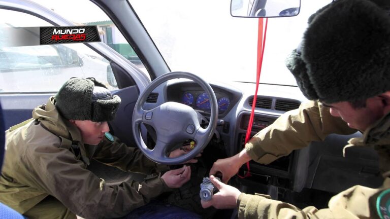 Riesgos de Conducir Bajo el Sol Intenso