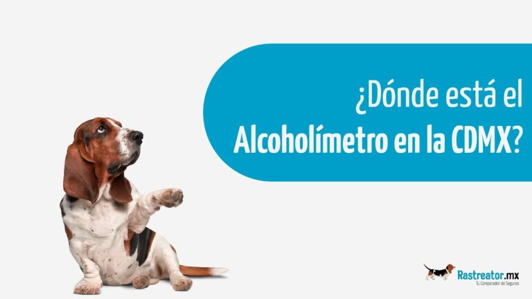 Alcohol&iacute;metro: Seguridad Esencial en el Veh&iacute;culo